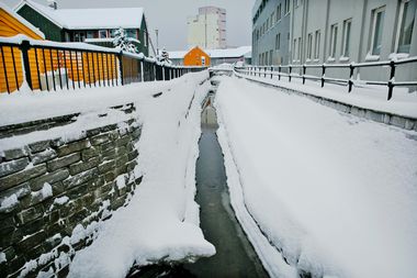 Åpnet: Trondheim kommune har gjenåpnet en rekke bekker, som her i Ila. Og det foreligger planer om at enda flere bekker skal komme frem i dagen.
(Foto: Glen Musk, ADRESSEAVISEN)